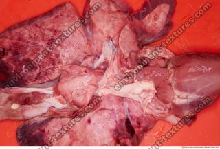 RAW meat pork viscera 0063